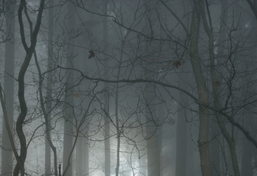 Agressionen Agressionen